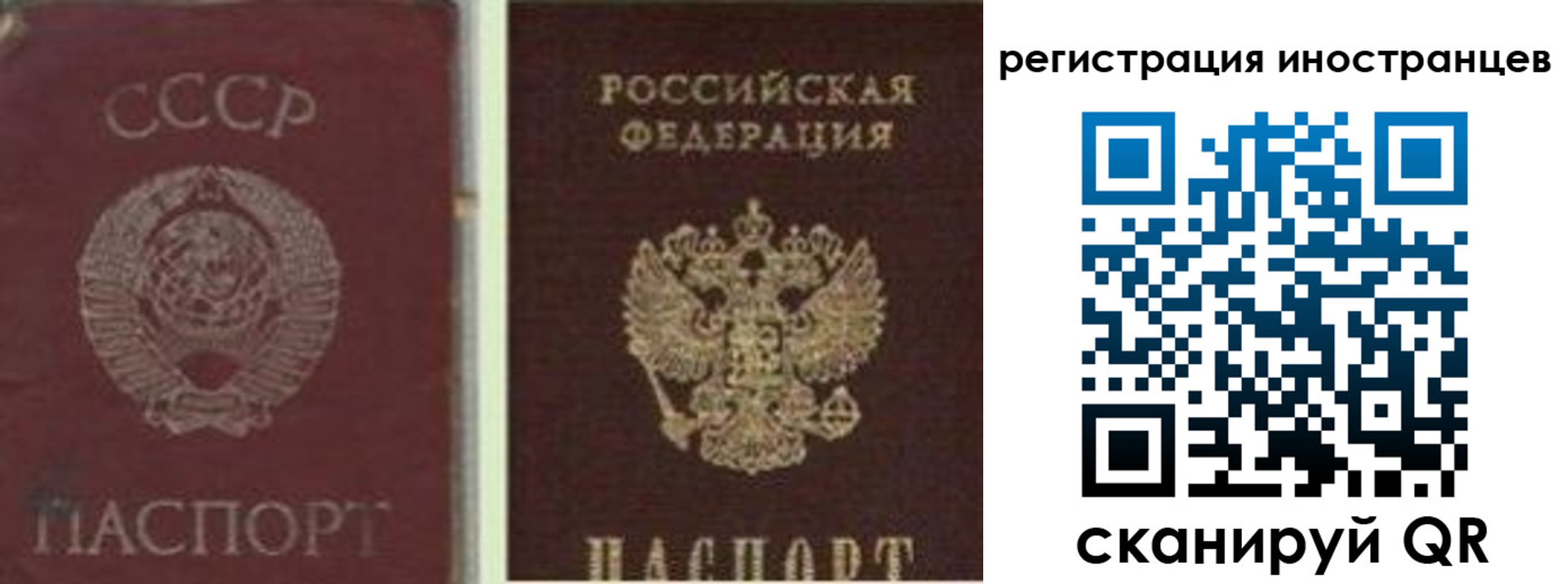 прописка в Волгоградской области